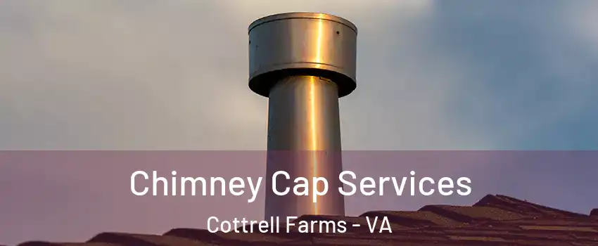 Chimney Cap Services Cottrell Farms - VA