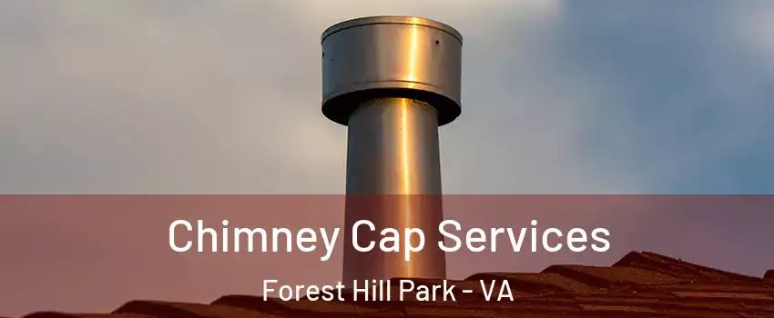 Chimney Cap Services Forest Hill Park - VA