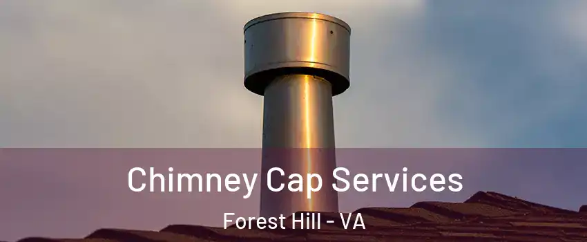 Chimney Cap Services Forest Hill - VA