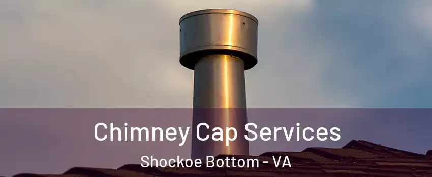 Chimney Cap Services Shockoe Bottom - VA