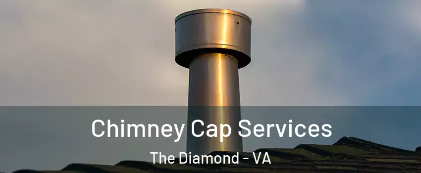 Chimney Cap Services The Diamond - VA