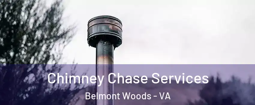 Chimney Chase Services Belmont Woods - VA