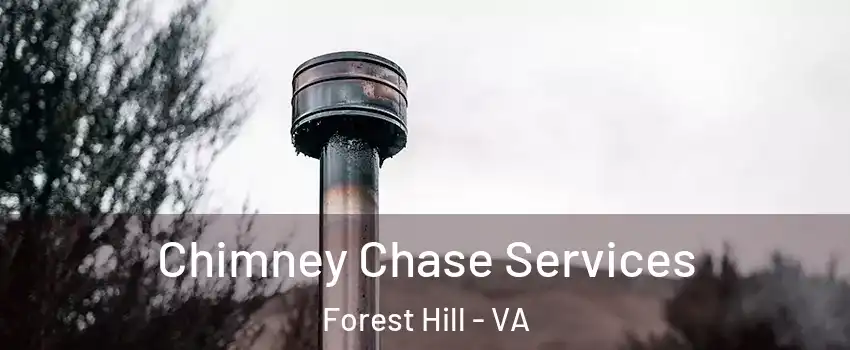 Chimney Chase Services Forest Hill - VA