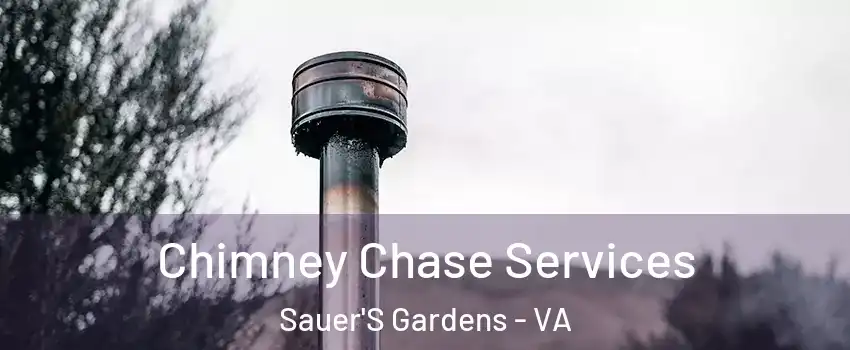 Chimney Chase Services Sauer'S Gardens - VA