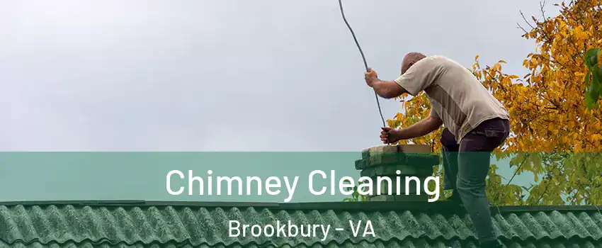 Chimney Cleaning Brookbury - VA