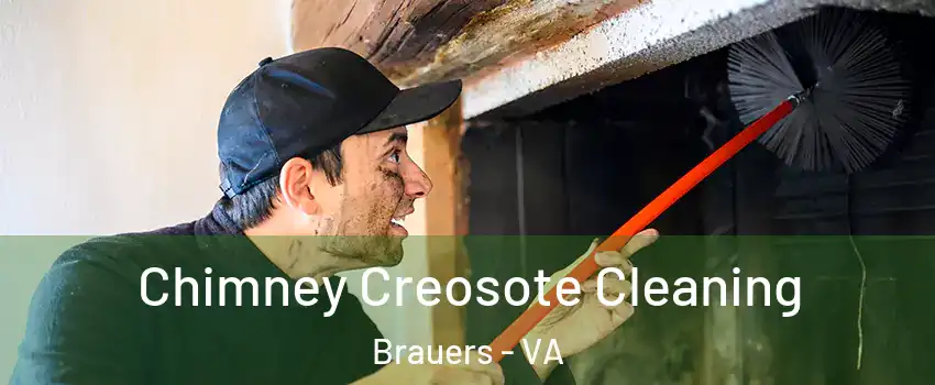 Chimney Creosote Cleaning Brauers - VA