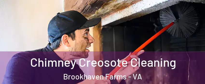 Chimney Creosote Cleaning Brookhaven Farms - VA