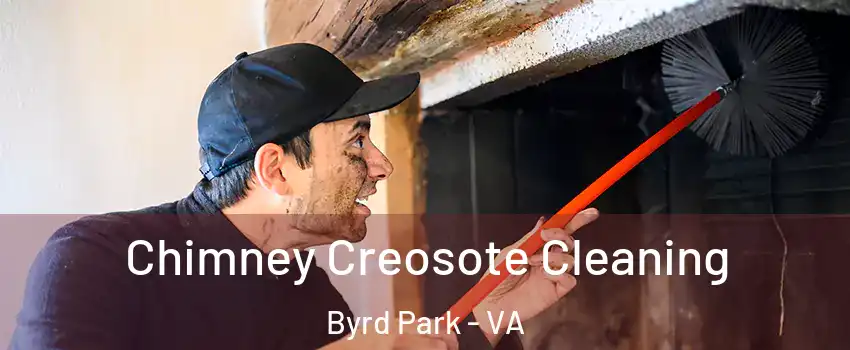 Chimney Creosote Cleaning Byrd Park - VA