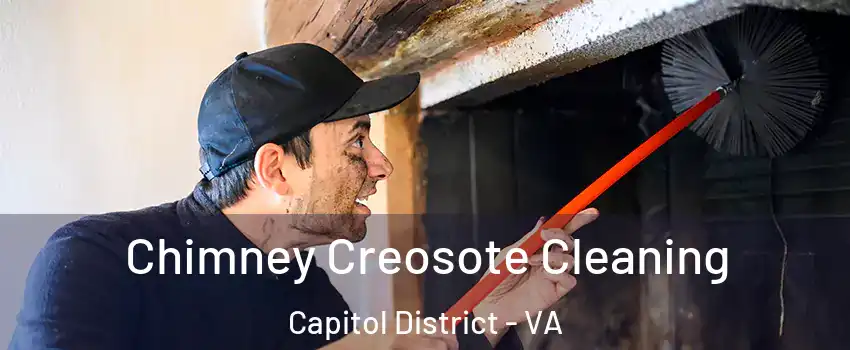 Chimney Creosote Cleaning Capitol District - VA