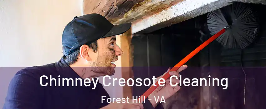 Chimney Creosote Cleaning Forest Hill - VA