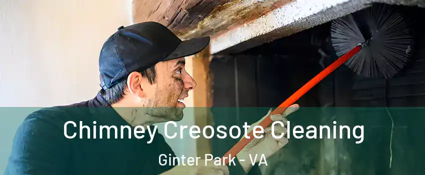 Chimney Creosote Cleaning Ginter Park - VA