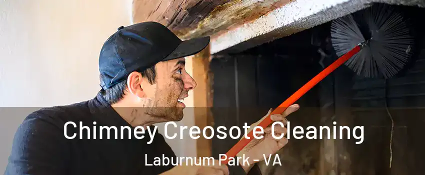 Chimney Creosote Cleaning Laburnum Park - VA