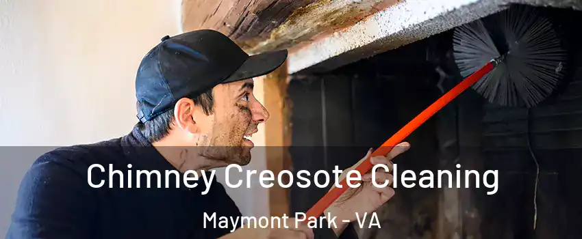 Chimney Creosote Cleaning Maymont Park - VA