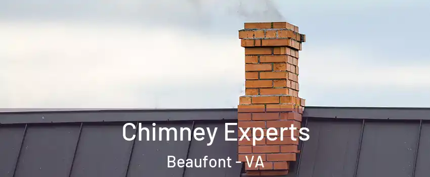 Chimney Experts Beaufont - VA