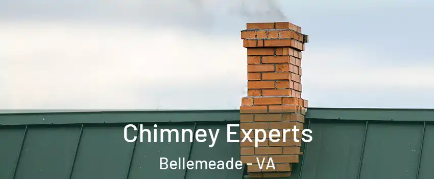 Chimney Experts Bellemeade - VA