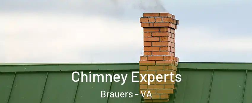 Chimney Experts Brauers - VA