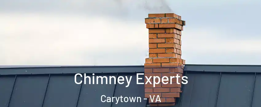 Chimney Experts Carytown - VA