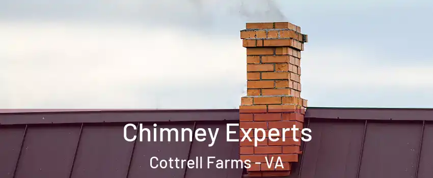 Chimney Experts Cottrell Farms - VA