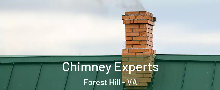 Chimney Experts Forest Hill - VA