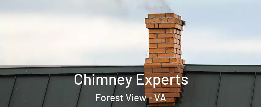 Chimney Experts Forest View - VA