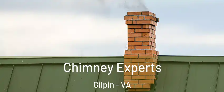 Chimney Experts Gilpin - VA