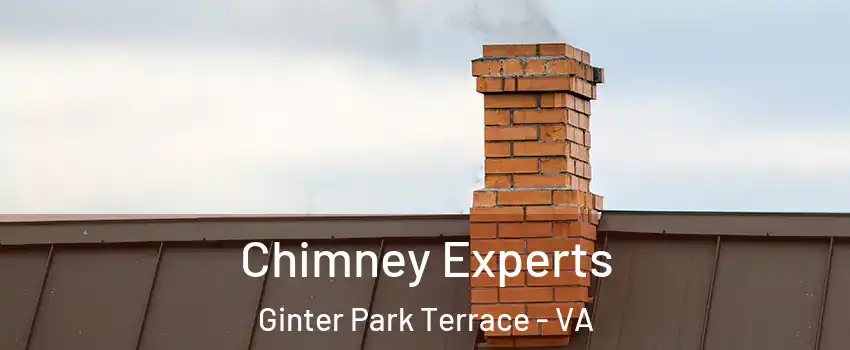 Chimney Experts Ginter Park Terrace - VA