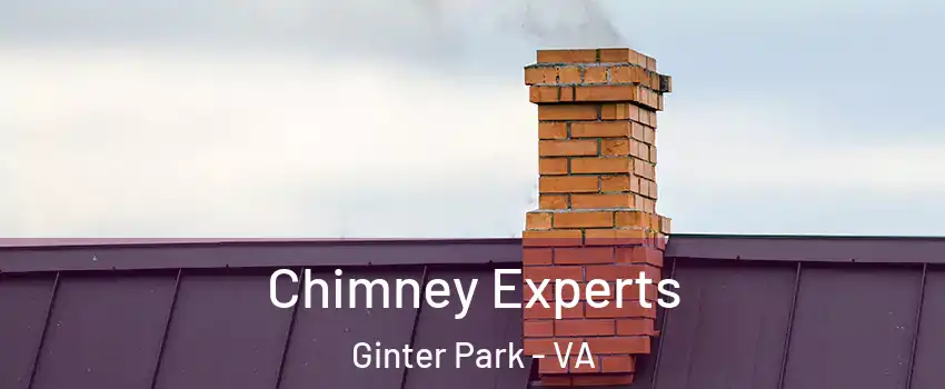 Chimney Experts Ginter Park - VA