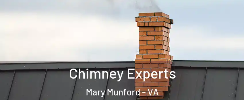 Chimney Experts Mary Munford - VA