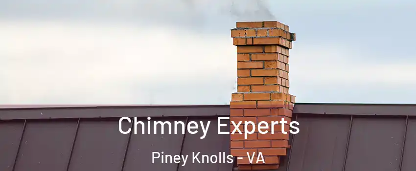 Chimney Experts Piney Knolls - VA