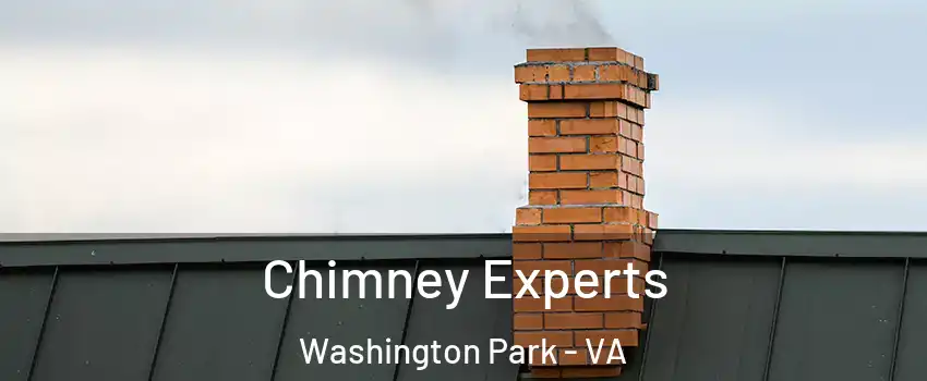 Chimney Experts Washington Park - VA