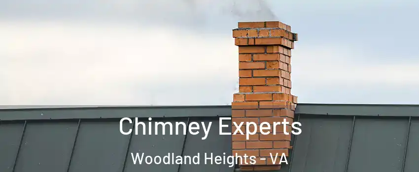 Chimney Experts Woodland Heights - VA