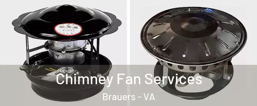 Chimney Fan Services Brauers - VA