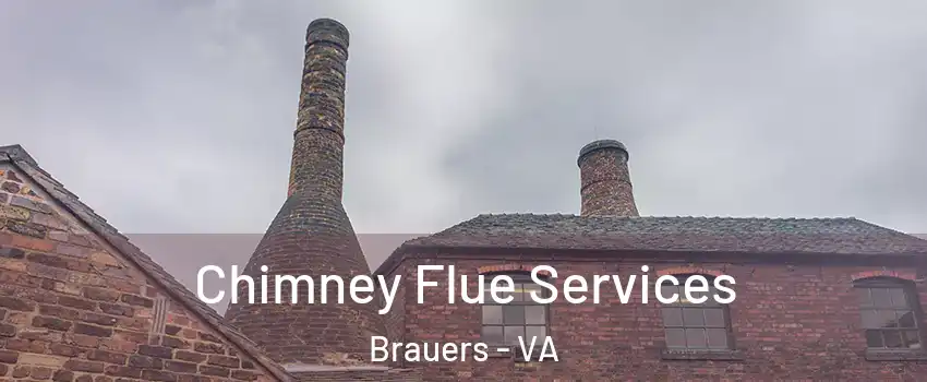 Chimney Flue Services Brauers - VA