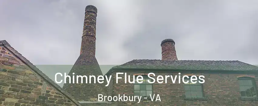 Chimney Flue Services Brookbury - VA