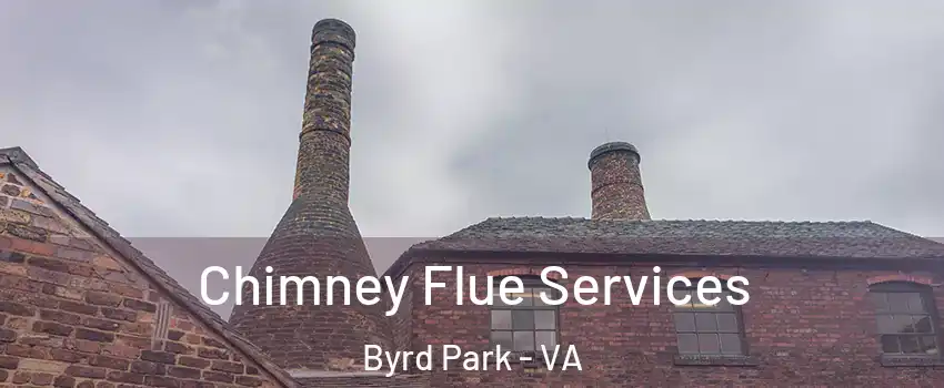 Chimney Flue Services Byrd Park - VA