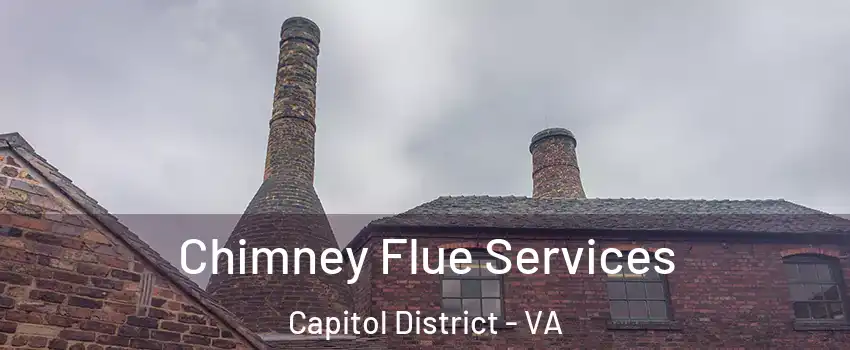 Chimney Flue Services Capitol District - VA