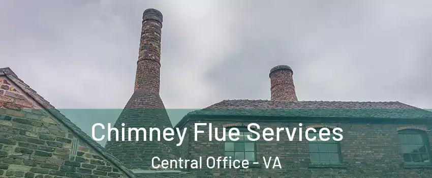 Chimney Flue Services Central Office - VA