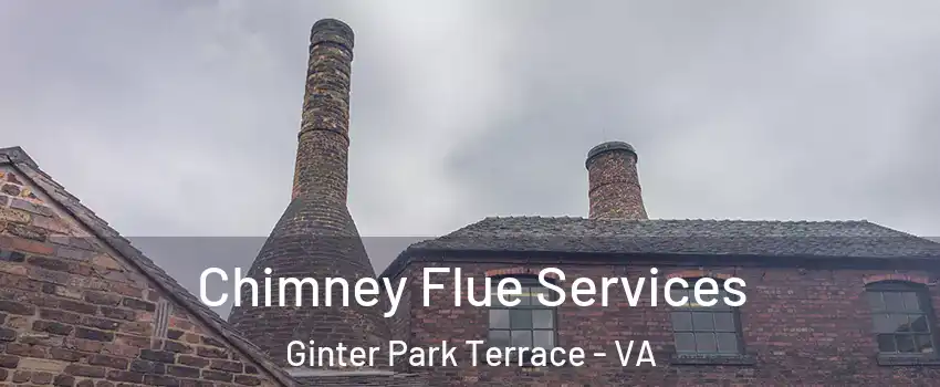 Chimney Flue Services Ginter Park Terrace - VA