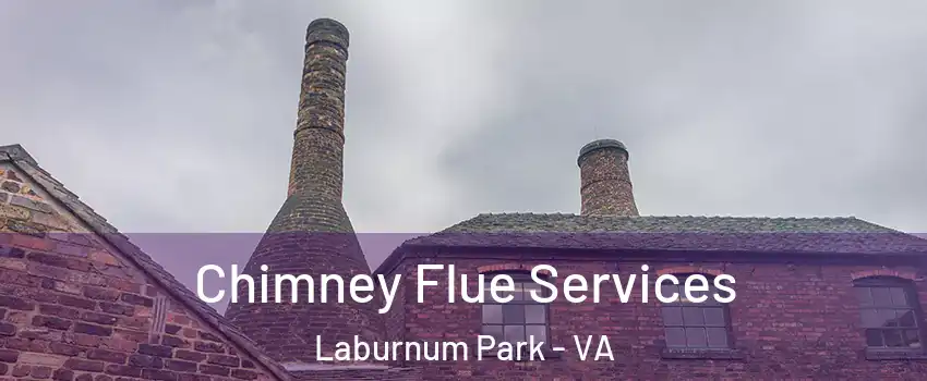 Chimney Flue Services Laburnum Park - VA