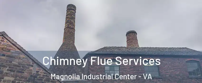 Chimney Flue Services Magnolia Industrial Center - VA