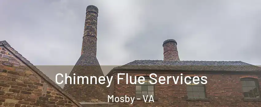 Chimney Flue Services Mosby - VA