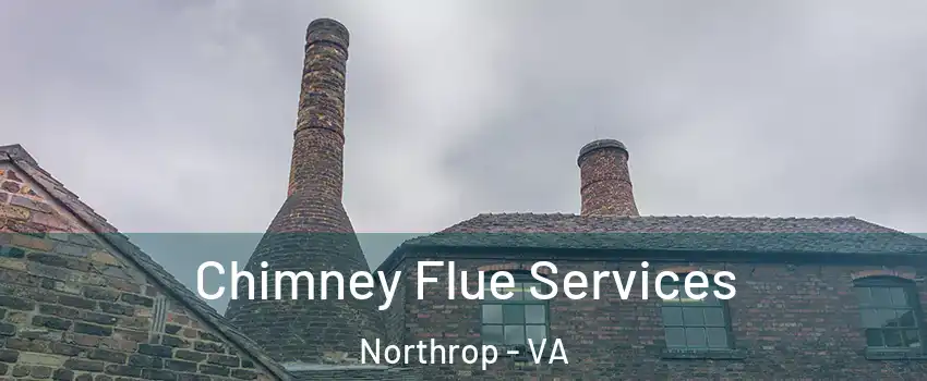 Chimney Flue Services Northrop - VA