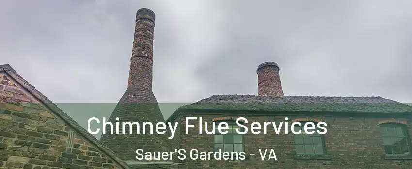 Chimney Flue Services Sauer'S Gardens - VA