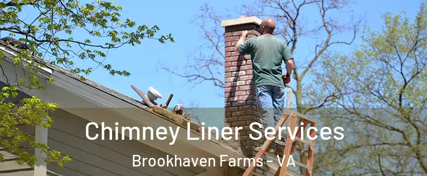 Chimney Liner Services Brookhaven Farms - VA