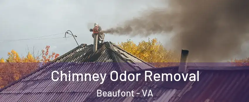 Chimney Odor Removal Beaufont - VA