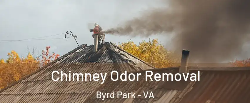 Chimney Odor Removal Byrd Park - VA