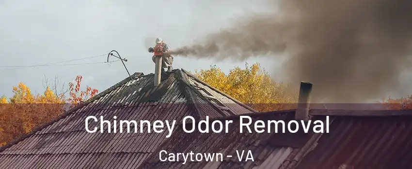 Chimney Odor Removal Carytown - VA