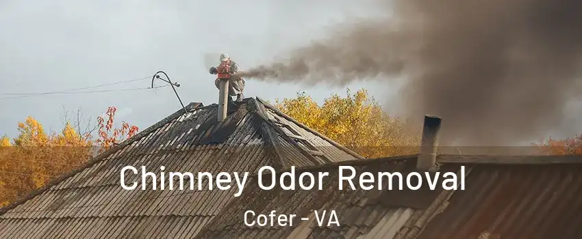 Chimney Odor Removal Cofer - VA