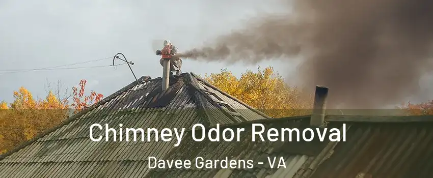 Chimney Odor Removal Davee Gardens - VA