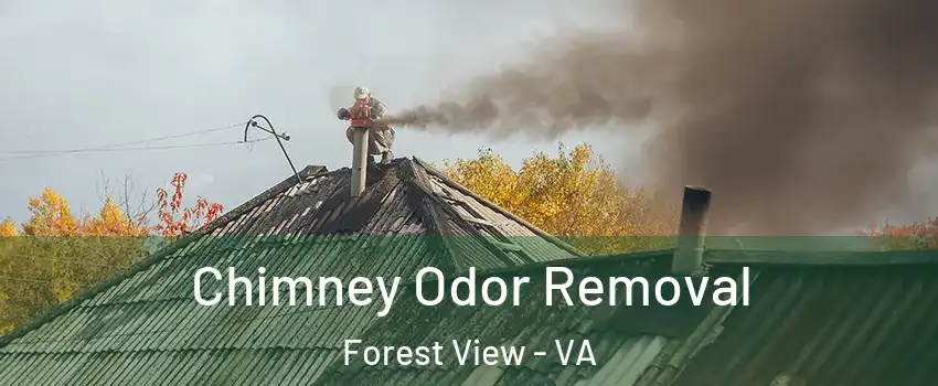 Chimney Odor Removal Forest View - VA